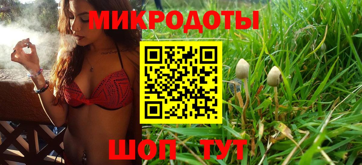 Псилоцибиновые грибы прущие грибы  Вход с VPN  где можно купить наркотик  Биробиджан 