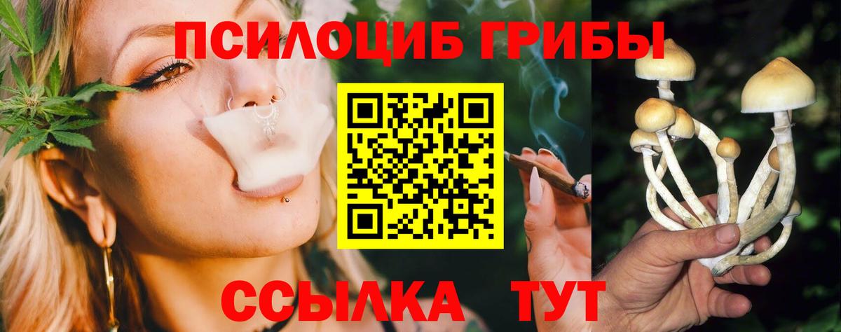 Галлюциногенные грибы Cubensis Биробиджан